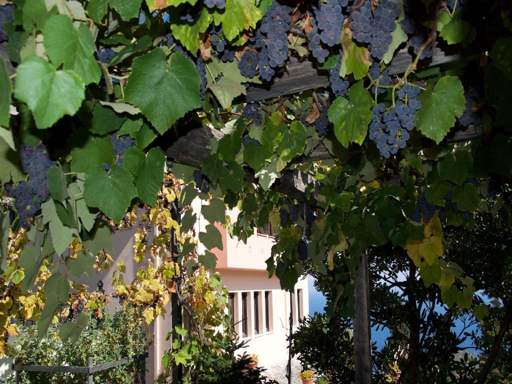 Villa Aglaini Áyios Dhimítrios Екстериор снимка