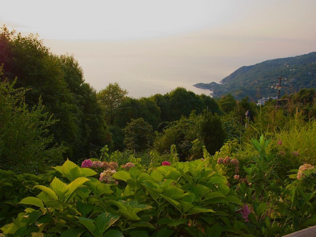 Villa Aglaini Áyios Dhimítrios Екстериор снимка